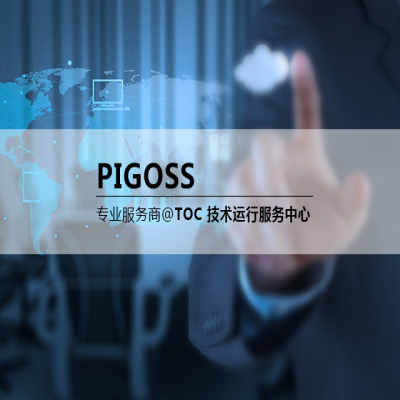 PIGOSS —“专业服务商”的专业之选