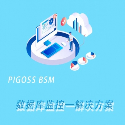 运维监控系统PIGOSS BSM-一站式数据库监控解决方案