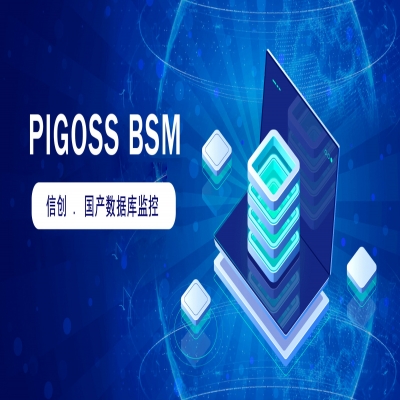 PIGOSS BSM  信创运维之国产数据库监控